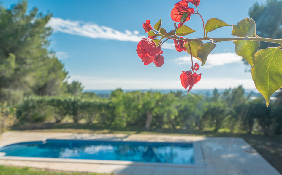 comprar villa Ibiza