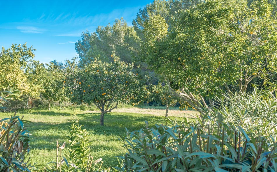 comprar villa Ibiza