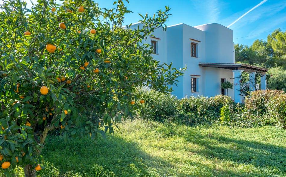 comprar villa Ibiza