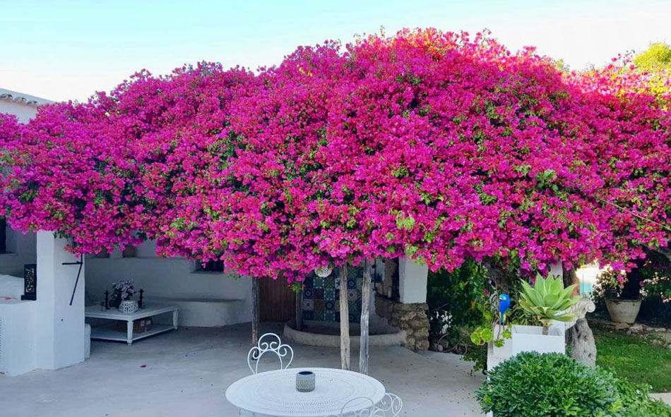 comprar casa Ibiza
