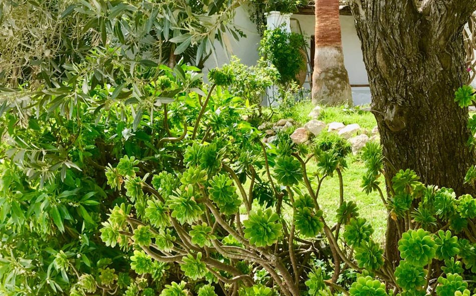 comprar casa Ibiza