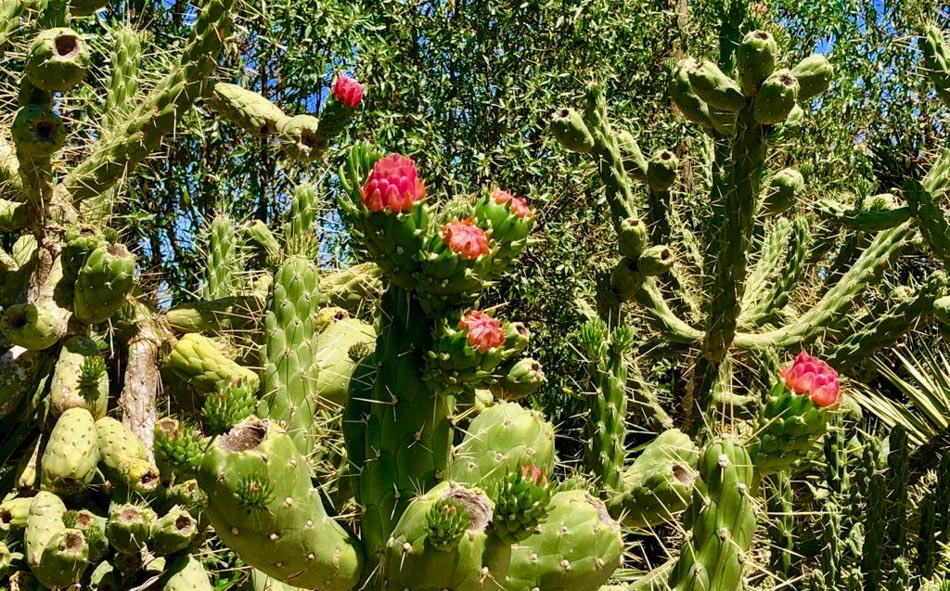 comprar casa Ibiza