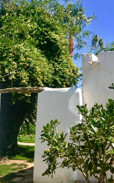 comprar casa Ibiza