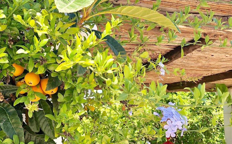 comprar casa Ibiza